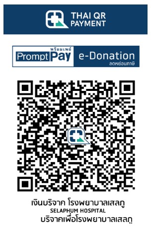 โรงพยาบาลเสลภูมิ